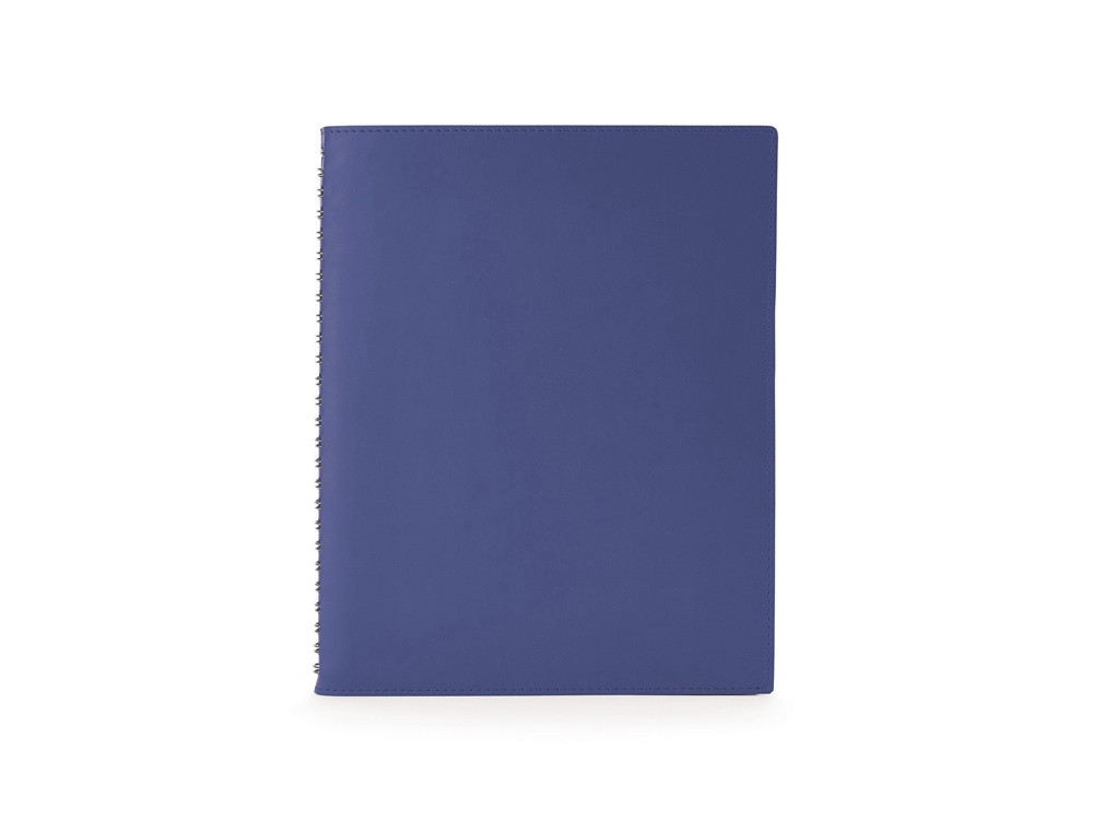 Ежедневник недатированный B5 «Tintoretto New», синий