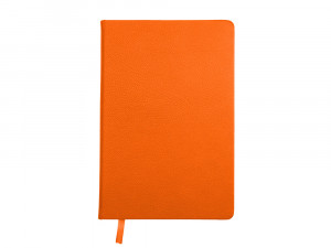 Ежедневник недатированный А5 "Loft", оранжевый