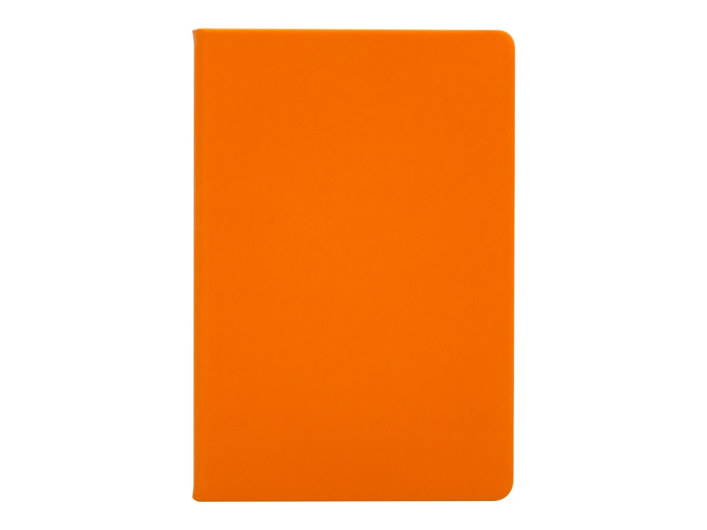Бизнес-блокнот "С3" софт-тач с магнитом, твердая обложка, 128 листов, оранжевый